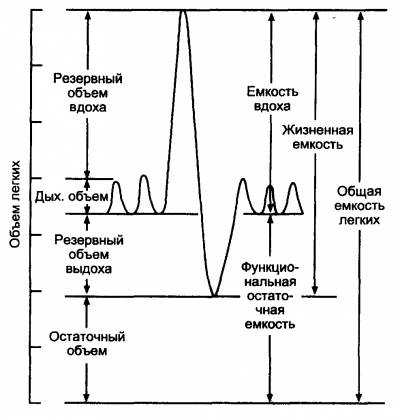 Легочные объемы